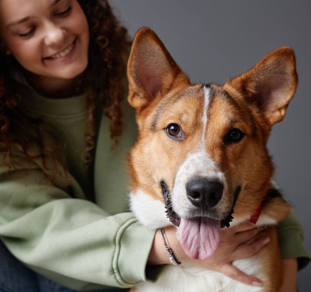 Welcome to Green Level Animal Hospital